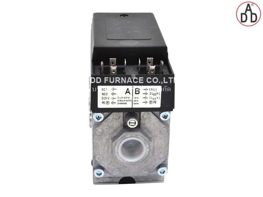 CG 115R01-DT2WF1Z (5)